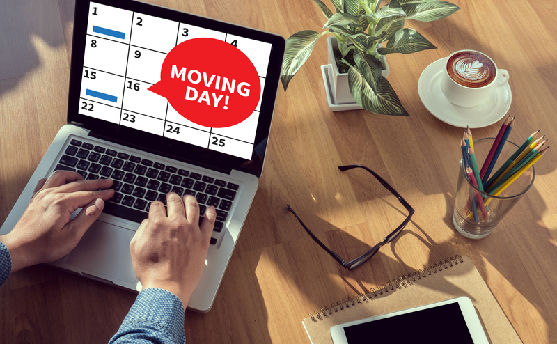 Professional movers handling a flat removal in Wood Green