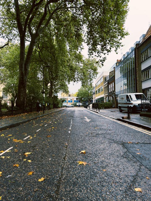 A view of a residential street with wet asphalt, scattered autumn leaves, and parked vehicles including a white van, situated near modern multi-storey buildings. Tall trees with green foliage line the pavement, their branches spreading overhead. Metal barriers and bollards are installed along the sidewalk, which is slightly elevated from the road. The scene, captured in daylight under overcast skies, depicts an urban environment prepared for home relocation or furniture transport. Occasionally, the image suggests the involvement of professional removals services, such as those provided by Man with Van Wood Green, in assisting with packing, loading, and moving logistics during house removals or same-day relocation across Wood Green.