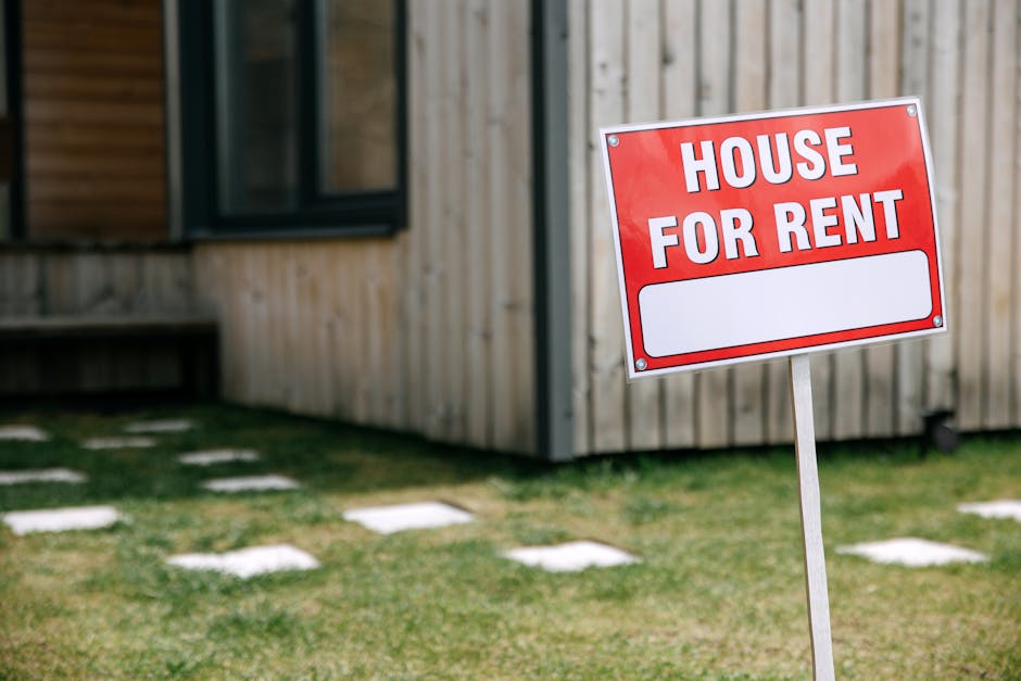 A red and white sign reading 'HOUSE FOR RENT' is positioned on a wooden stake in front of a residential property. The house has a modern design with light-colored wooden external cladding and a black-framed window visible on the façade. The sign is situated on a grassy lawn with small, evenly spaced concrete stepping stones leading up to or near the house. The environment appears well-maintained, and the scene suggests a property available for new tenants or owners. In the context of house removals and relocation services, [COMPANY_NAME] may assist with moving or property changeovers, supporting efficient home relocation processes as indicated on the page titled 'Urgent same-day removals available across Wood Green.'